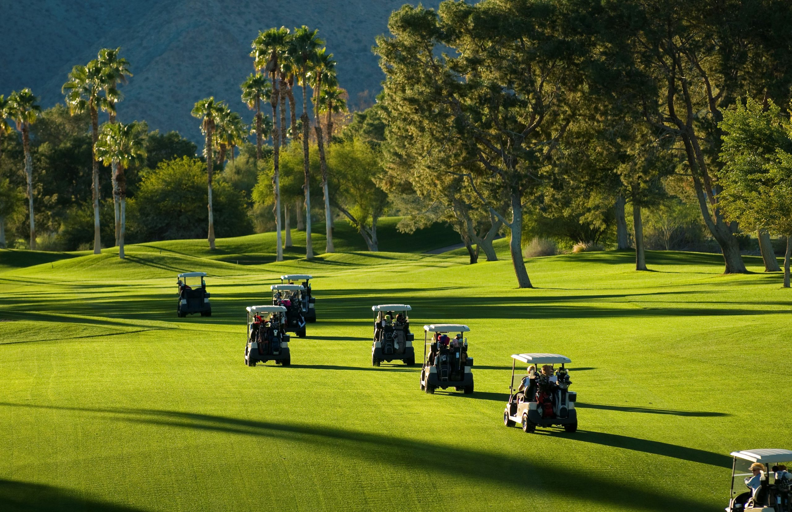 golfcart small